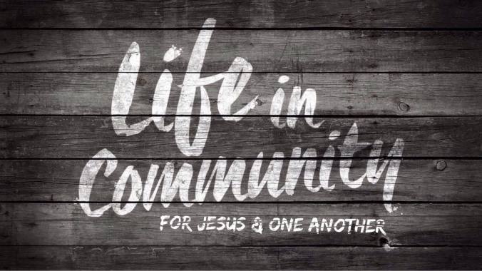 life in community_series logo